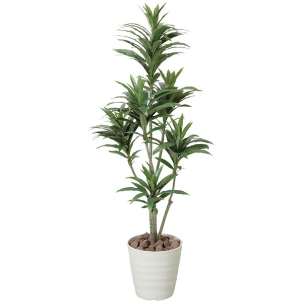 安い購入 楽天市場 観葉植物 光触媒 植物 ドラセナ グリーン 人工植物 人工観葉植物 イミテーショングリーン インテリアグリーン 高さ125cm 光触媒人工植物 フェイクグリーン ギフト インテリア 光の楽園 消臭 抗菌 ホルムアルデヒド 分解 ドラセナコンパクタ 1 25