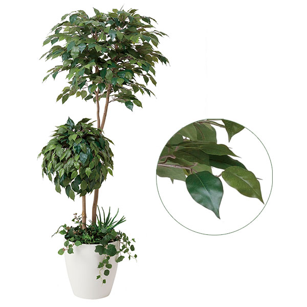 人工観葉植物 観葉植物 光触媒観葉植物 グリーン 植物 フェイク ベンジャミン 光触媒加工 植栽付 フェイクグリーン 高さ180cm 消臭 インテリア 大型 アートグリーン 抗菌 人工植物 防汚 ホルムアルデヒド 分解 人工 プレゼント ギフト 引越し祝い 新築祝い|国産サイズオーダー家具 arne