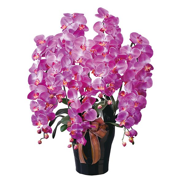 人工観葉植物 フラワーギフト 胡蝶蘭 光触媒フラワー 花 光触媒 造花 精巧 造花 人工観葉植物 フェイクフラワー コチョウラン アートフラワー フェイク 光触媒フラワー 消臭 アーティフィシャルフラワー インテリア 造花 フラワー 光触媒フラワー 胡蝶蘭 光触媒 造花 人工 人工観葉植物 フラワーギフト 胡蝶蘭 光触媒フラワー 花 光触媒 造花 精巧 造花 人工観葉植物 フェイクフラワー コチョウラン アートフラワー フェイク 光触媒フラワー 消臭 アーティフィシャルフラワー インテリア 造花 フラワー 光触媒フラワー 胡蝶蘭 光触媒 造花 人工