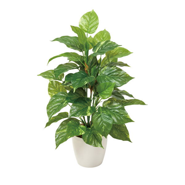 海外正規品 楽天市場 観葉植物 光触媒 植物 フェイク おしゃれ 抗菌 フレッシュポトスm フェイクグリーン グリーン 消臭 イミテーショングリーン 防汚 インテリア インテリアグリーン アートグリーン ホルムアルデヒド 分解 リビング ダイニング おすすめ Arne