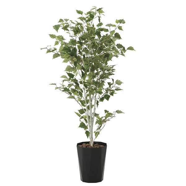 光触媒 観葉植物 枯れない イミテーショングリーン 植物 祝い インテリア 人工観葉植物 贈り物 抗菌 ギフト 消臭 記念日 母の日 高さ140cm グリーン 白樺1.4 おすすめ リビング｜国産サイズオーダー家具 arne 24,090円