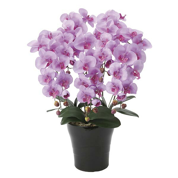 光触媒 胡蝶蘭 フラワー 消臭 観葉植物 胡蝶蘭 インテリア ギフト 紫 母の日 光触媒 造花 祝い フラワー 花 抗菌 フラワー 母の日 枯れない クイーン胡蝶蘭5本立l 光触媒 贈り物 花 開店祝い 記念日 造花 コチョウラン パープル
