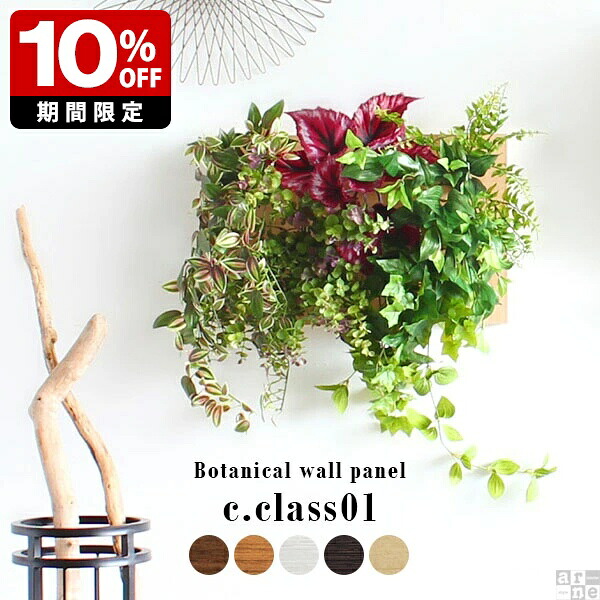 New Arrival 新着商いもの特集