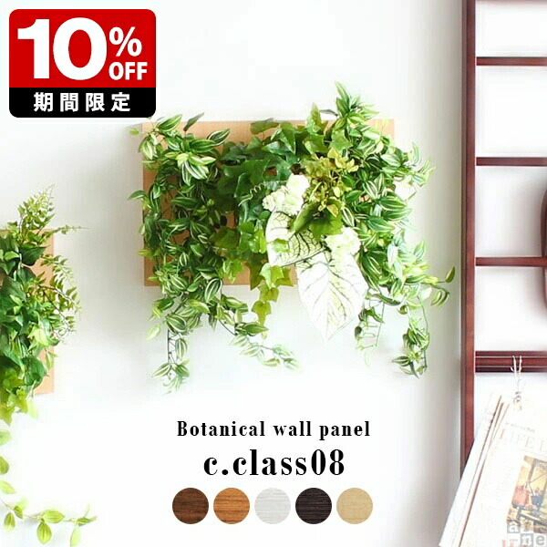 New Arrival 新着商いもの特集
