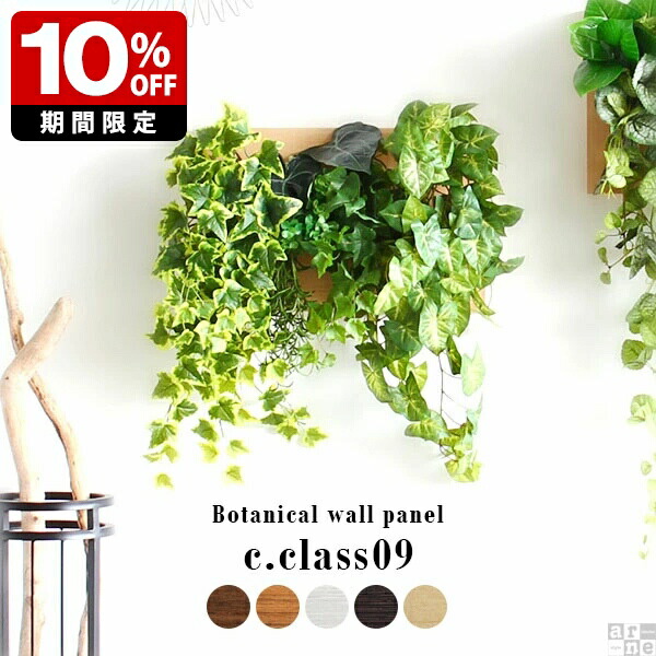 New Arrival 新着商いもの特集