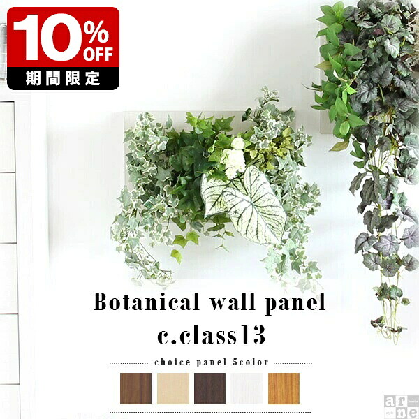 New Arrival 新着商いもの特集