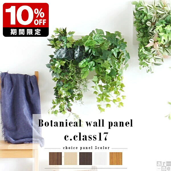 New Arrival 新着商いもの特集