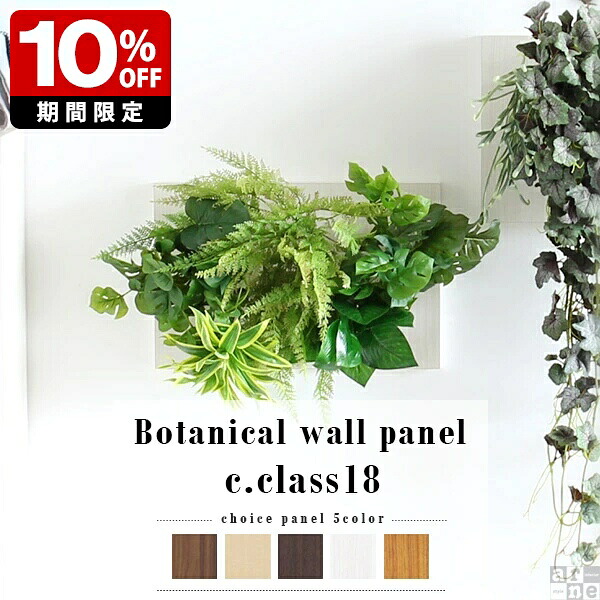 New Arrival 新着商いもの特集