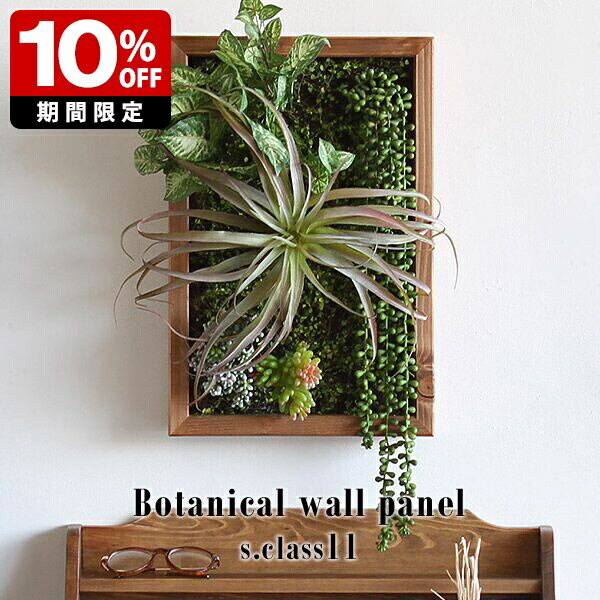New Arrival 新着商いもの特集