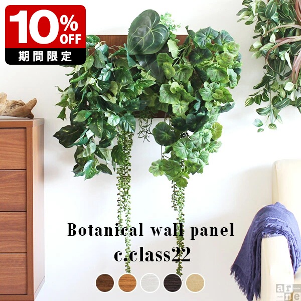 New Arrival 新着商いもの特集
