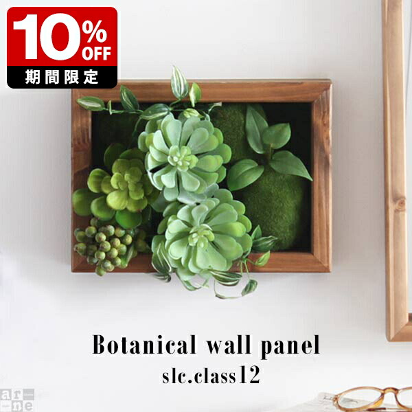 New Arrival 新着商いもの特集