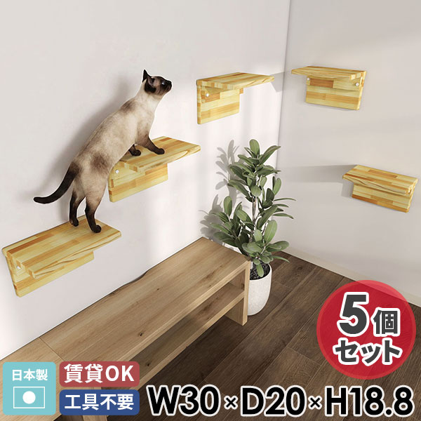 New Arrival 新着商いもの特集