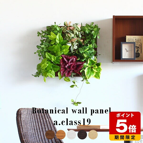 楽天市場】観葉植物 フェイク 人工観葉植物 光触媒 フェイク