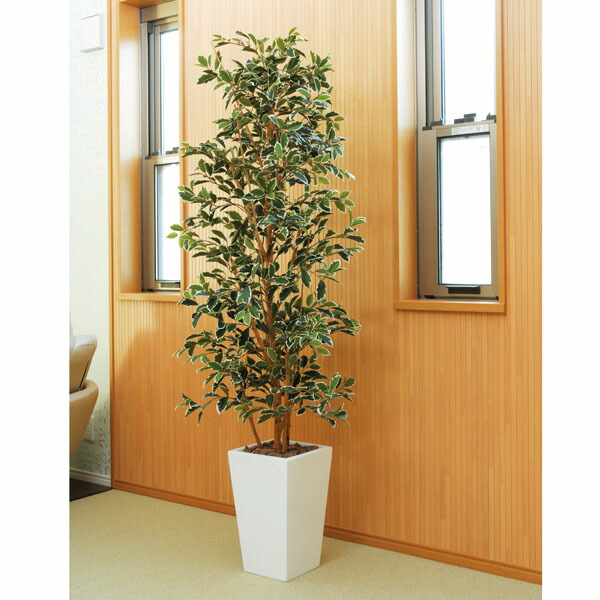 お1人様1点限り 楽天市場 観葉植物 大型 人工観葉植物 光触媒 インテリア 大きい 人工植物 ガジュマルタワーｇ ｗ 高さ180cm アート グリーン フェイクグリーン 光の楽園 人工樹木 造花 消臭 抗菌 防汚 ホルムアルデヒド 除去 分解 植物 観賞 フェイク グリーン 緑