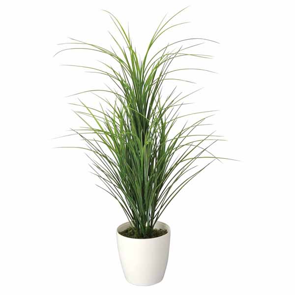 楽天ランキング1位 楽天市場 光触媒 観葉植物 グラスツリー 高さ78cm フロアタイプ ミドルサイズ 人工観葉植物 アートグリーン フェイクグリーン 光の楽園 人工植物 新築祝い プレゼント 友人 造花 消臭 抗菌 防汚 空気浄化 インテリア イミテーション 植物 観賞