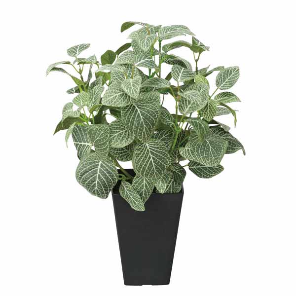 光触媒 デスク 観葉植物 フィットニアＳ（フロック加工） 高さ43cm テーブルタイプ ミニ観葉植物 ミニ 人工観葉植物 玄関 アートグリーン フェイクグリーン 光の楽園 ギフト 新築祝い プレゼント 友人 花 鉢植え 造花 消臭 ホルムアルデヒド 分解 インテリア イミテーション