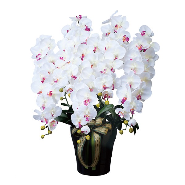 光触媒 人工観葉植物 ウォールグリーン フェイクグリーン ロイヤル胡蝶