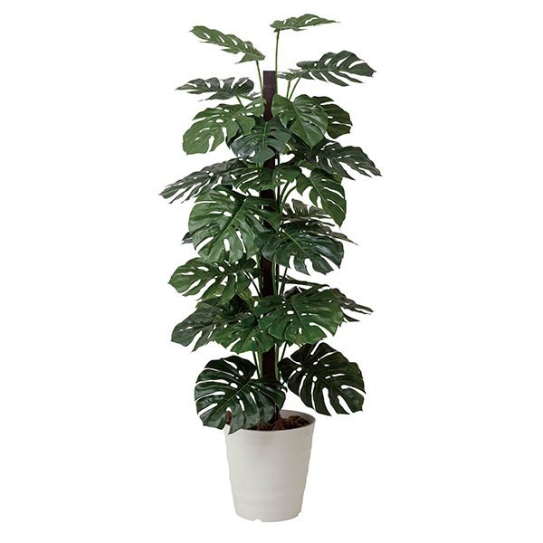 光触媒 観葉植物 グリーン 人工観葉植物 大型 インテリア 人工植物 植物 フェイクグリーン 造花 北欧 おしゃれ ナチュラル リビング オフィス 雑貨 玄関 エントランス 消臭 抗菌 防汚 ホルムアルデヒド分解 ギフト 美容室 開店祝い サロン 結婚祝い 贈り物 モンステラ 180cm|国産家具ソファ アーネ インテリア