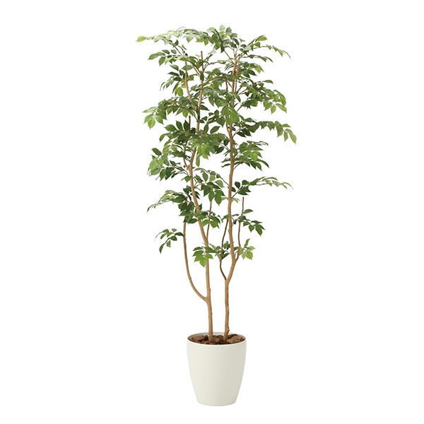 人工植物 光触媒 フェイクグリーン グリーン ギフト 人工観葉植物 大型 マウンテンアッシュ 母の日 観葉植物 高さ160cm サロン 観葉植物 室内 お祝い 光触媒 プレゼント フェイクグリーン おしゃれ 大型 植物 ギフト インテリア インテリア 観葉植物 人工観葉植物 植物 160cm