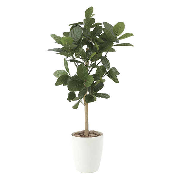 光触媒 観葉植物 植物 人工観葉植物 インテリアグリーン グリーン インテリア フェイク 人口 イミテーション イミテーショングリーン アートグリーン おしゃれ ギフト お祝い 開店祝い リビング フェイクグリーン パンの木90 高さ90cm|国産家具ソファ アーネ インテリア