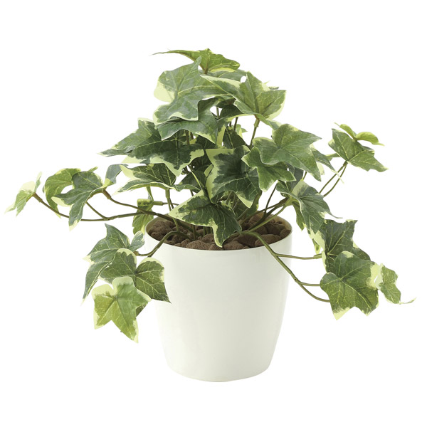 楽天市場 人工観葉植物 光触媒 観葉植物 ミニ フェイクグリーン インテリア イミテーショングリーン インテリアグリーン モダン 人工植物 フレッシュ斑入りアイビーs 高さ25cm ミニ観葉植物 ギフト 新築祝い プレゼント 友人 花 鉢植え おしゃれ フェイク グリーン
