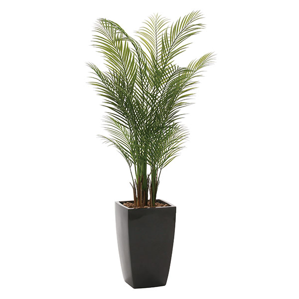 楽天市場】観葉植物 光触媒 植物 アレカパーム グリーン 人工観葉植物