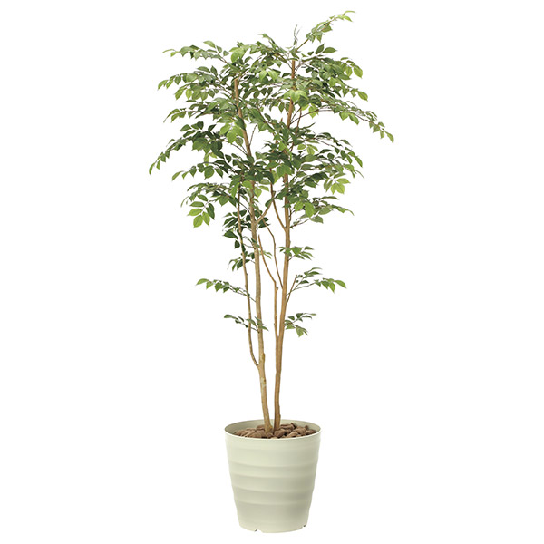 最も優遇 楽天市場 人工観葉植物 光触媒 観葉植物 フェイクグリーン インテリア 人工植物 高さ180cm 消臭 抗菌 防汚 マウンテンアッシュ アーネ インテリア 注目ブランド Www Lexusoman Com