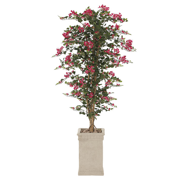 訳ありセール格安 楽天市場 光触媒 観葉植物 植物 人工観葉植物 インテリア おしゃれ グリーン ブーゲンビリア 高さ160cm アーネ インテリア 日本産 Www Lexusoman Com