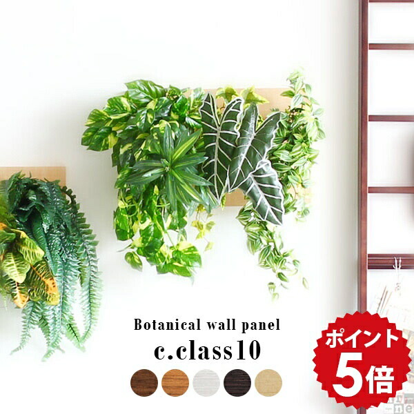 楽天市場】光触媒 観葉植物 壁掛け 植物 インテリア ウォールグリーン