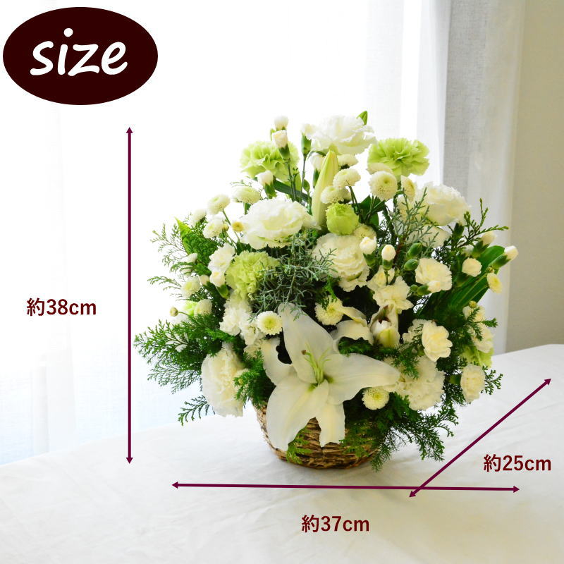 あす楽 お供え 花 フラワーアレンジメント お供 ギフト 送料無料 生花 アレンジメント おくやみ お悔み お供花 フラワーギフト 綺麗 仏前 リビング ユリ 百合 白 グリーン 土日発送 白ゆり 百合 A S Educaps Com Br