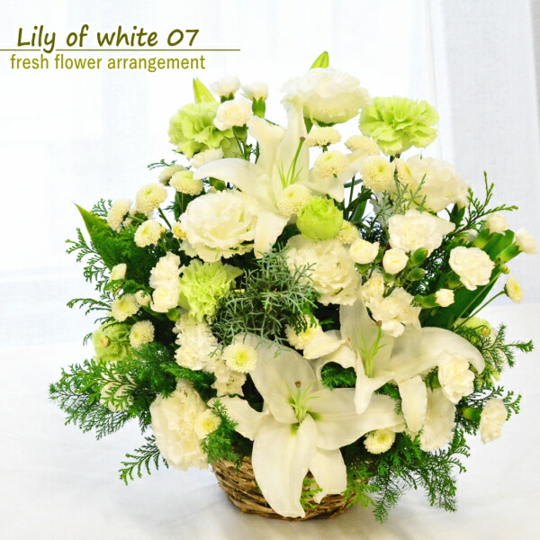 安値 敬老の日 あす楽 花 フラワーアレンジメント 生花 ご挨拶 結婚祝い 百合 ユリ フラワーギフト送料無料 白グリーン プレゼント 受付 記念日 新築祝い ゆり おしゃれ ウエディング お祝い Lily Of White 100 A Ng Fucoa Cl