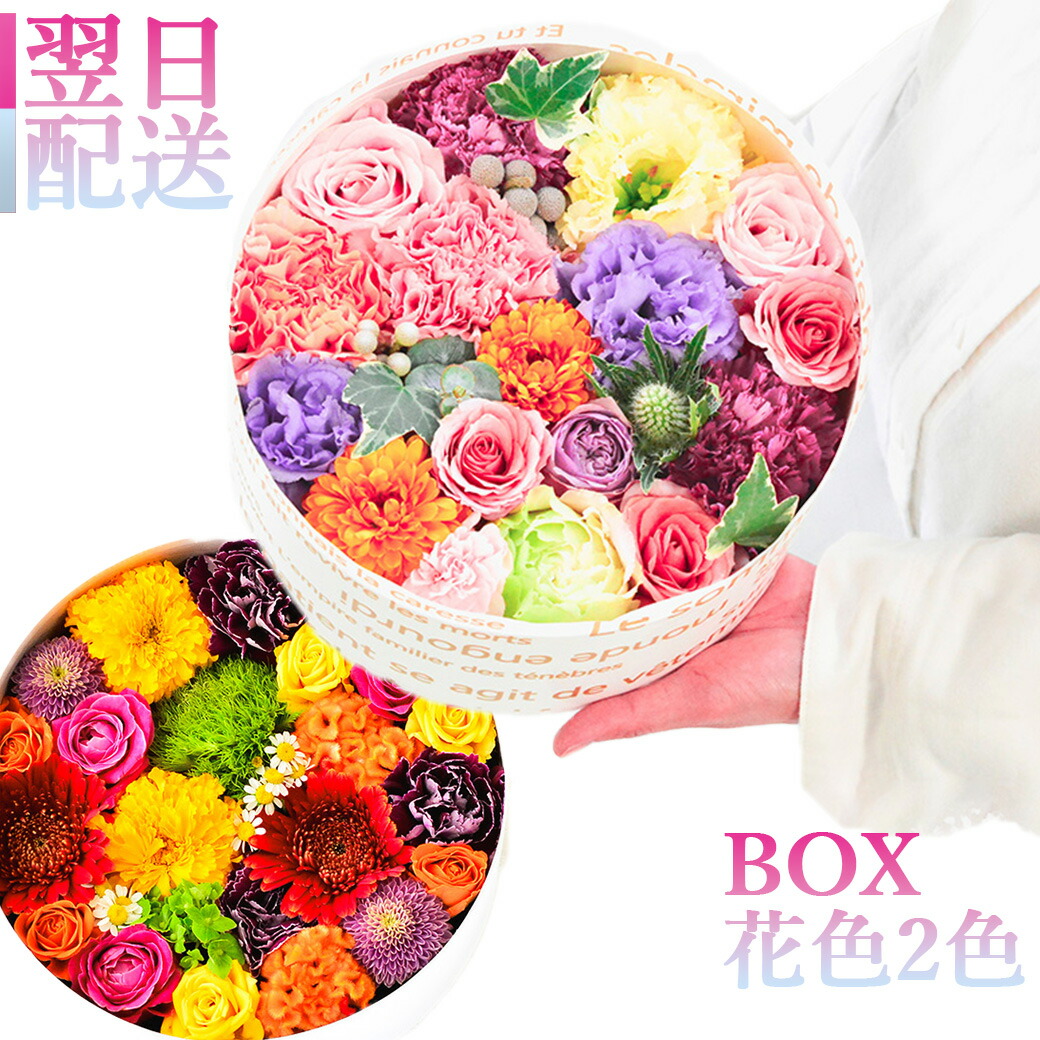 ARNE（アルネ）6月 百貨店SALE！！★花の特設会場