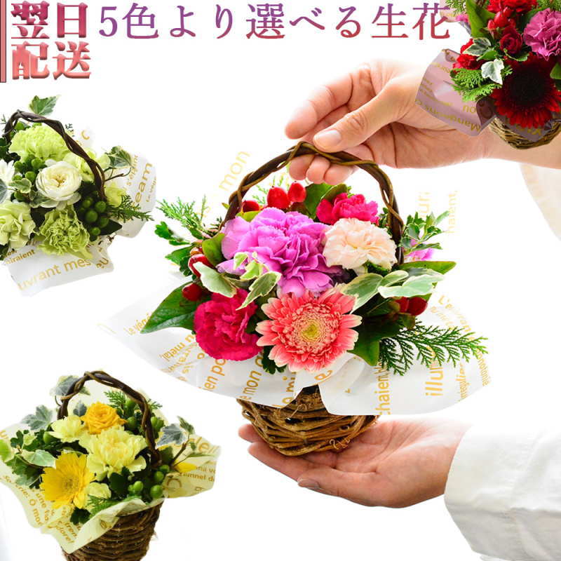 花 フラワーアレンジメント フラワーギフト 生花 誕生日 プレゼント 送料無料 色が選べる アレンジメント お礼 お祝い 展示会 発表会 お見舞い 楽屋花 退職祝い お彼岸 お供え ほんの気持ち ギフト 土日発送 A Ng 限定special Price