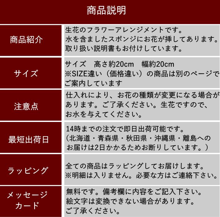 誕生日 花 フラワーアレンジメント ギフト あす楽 送料無料 お礼 お祝い メッセージ 色が選べる おまかせ アレンジメント 記念日 お見舞い 楽屋花 退職 プレゼント フラワーギフト おしゃれ かわいい 可愛い ご自宅用 感謝 お供え A Ng Educaps Com Br