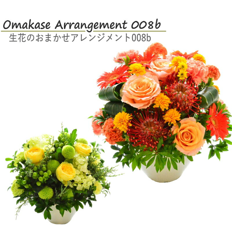 敬老の日 誕生日 花 フラワーアレンジメント お祝い 送料無料 生花 色を選んで おまかせ アレンジメント 誕生日 長寿 お祝い 展示会 発表会 お見舞い 楽屋花 退職祝い 昇進御祝 新築御祝 プレゼント フラワーギフト おしゃれ A Ng Kanal9tv Com