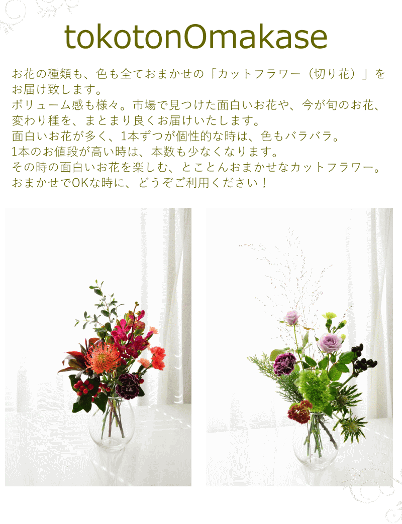 楽天市場 誕生日 花 花束 切花 とことんおまかせ 生花 自宅 送料無料 イマデキ おうち時間 うちで過ごそう おまかせ 上質な暮らし リビング おしゃれ かわいい カットフラワー インテリア フラワー B Ag ブーケ 花とギフトの店 Arne