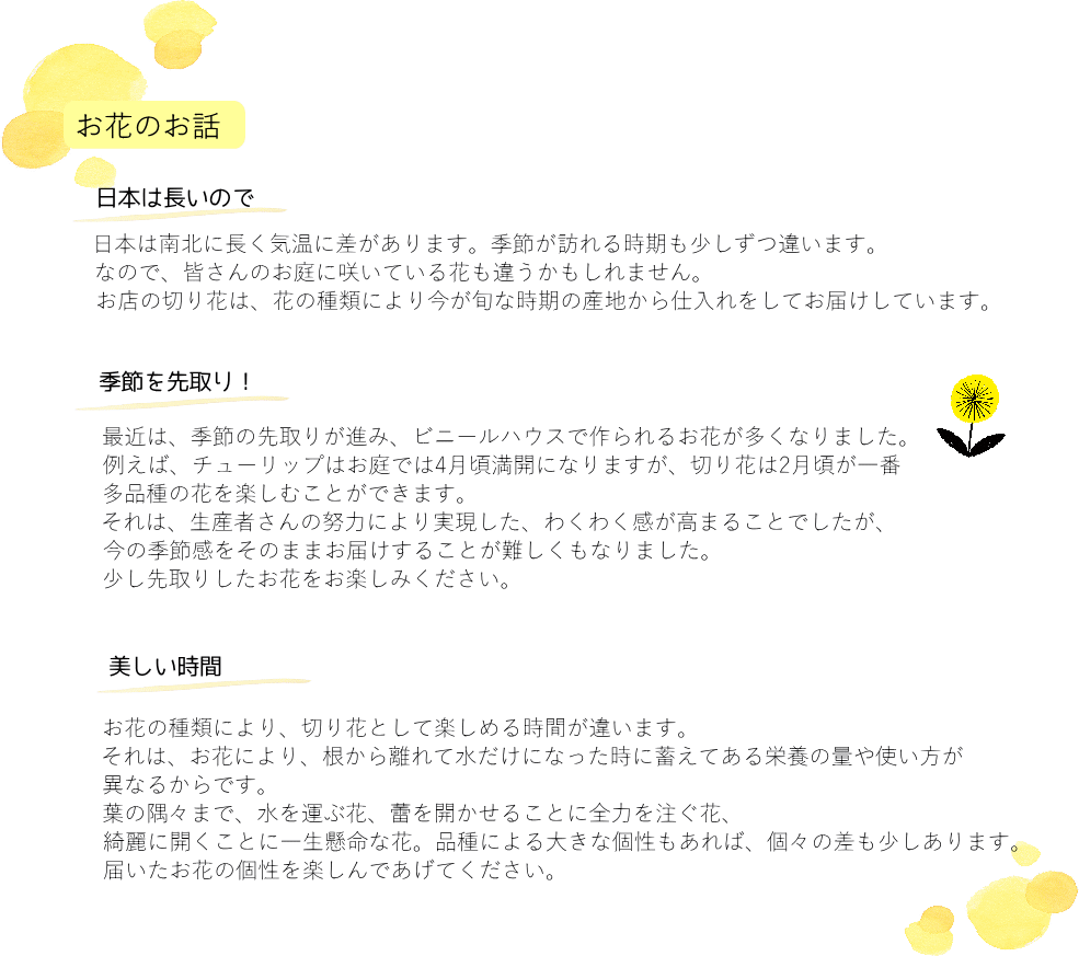 楽天市場 誕生日 花 花束 切花 生花 自宅 送料無料 イマデキ おうち時間 うちで過ごそう お正月 おまかせ フラワー 上質な暮らし リビング オシャレ かわいい カットフラワー 切り花 おしゃれ 自然 土日発送 B Ag ブーケ 花とギフトの店 Arne