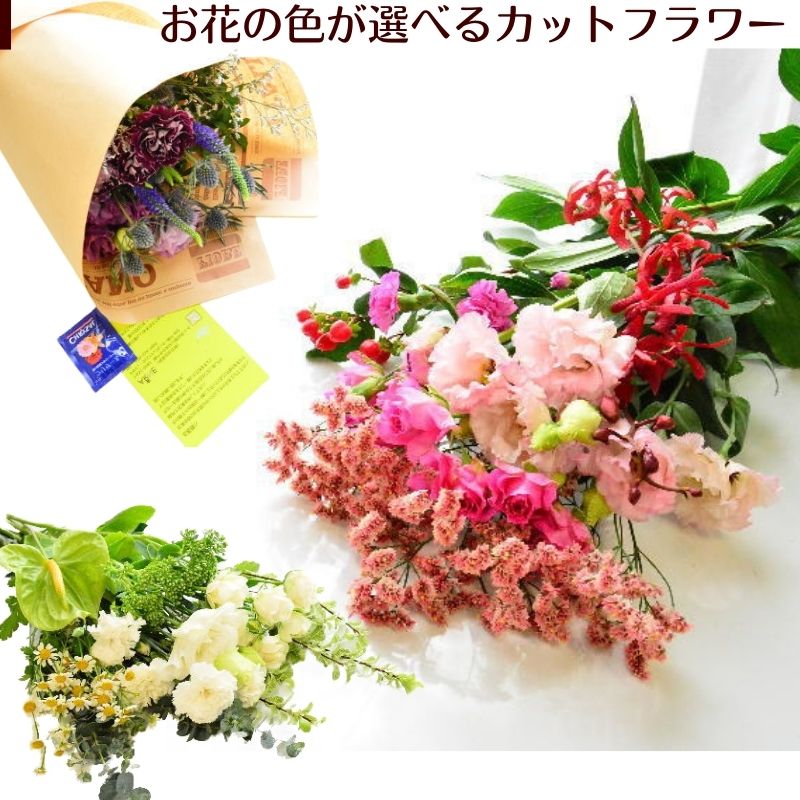 楽天市場】花 花束 切り花 生花 自宅用 誕生日 送料無料 切花