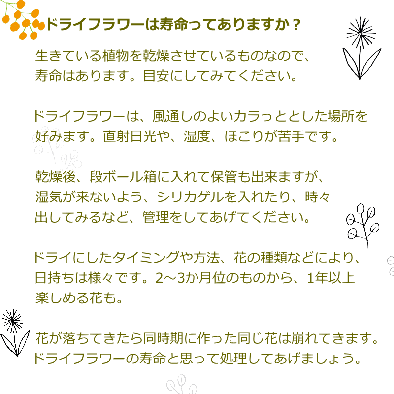 楽天市場 誕生日ドライフラワー 花束 切花 スワッグ ギフト 壁飾り フラワーギフト プレゼント ドライフラワーの花束 お誕生日 御祝 新築御祝 展示会 おしゃれ かわいい リビング おうちピクニック ｄ 19 ブーケ 花とギフトの店 Arne