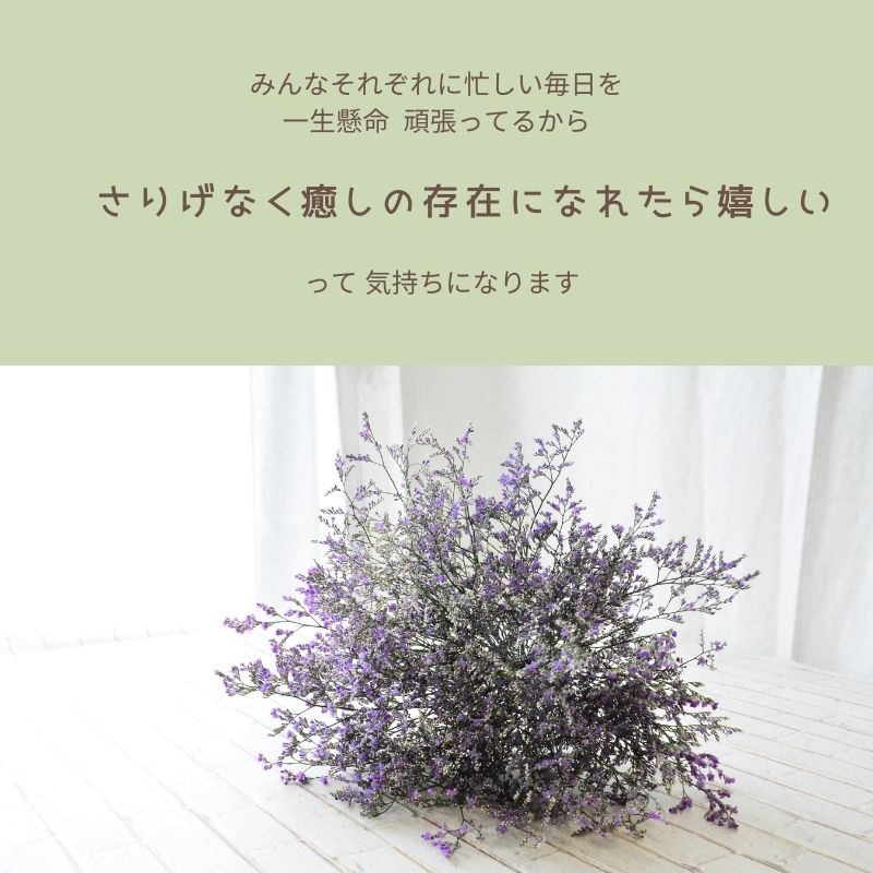 優れた品質 玄関 花 花束 フラワーアレンジメント 玄関に 定期便 間隔設定自由 生花 クール含む 送料無料 切花 うちで過ごそう おまかせ フラワー 上質な暮らし オシャレ かわいい B Ag Fucoa Cl