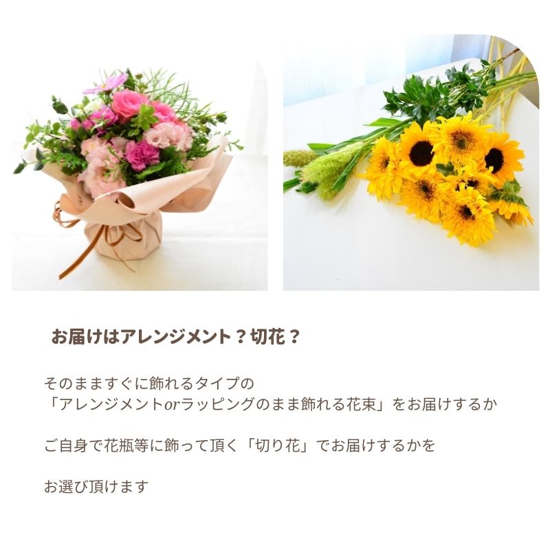 低価格の 玄関 花 花束 フラワーアレンジメント 玄関に 定期便 間隔設定自由 生花 クール含む 送料無料 切花 うちで過ごそう おまかせ フラワー 上質な暮らし オシャレ かわいい B Ag Fucoa Cl