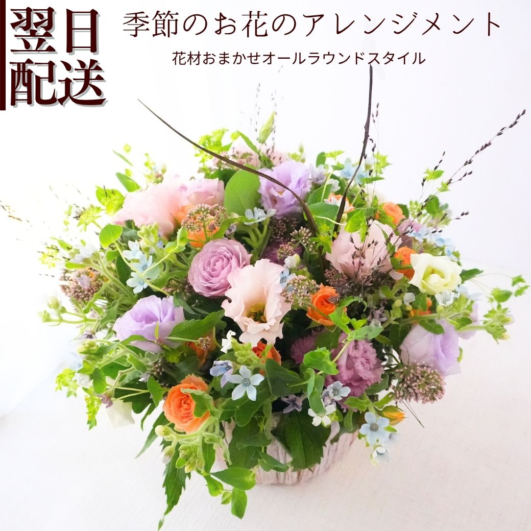 お知らせ＆花のことetc
