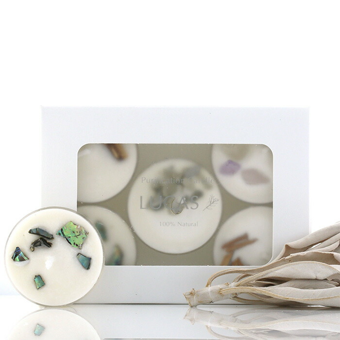 みーまま様 4個 LUCAS ルカス アメジスト グミキャンドル みーまま様 4個 LUCAS ルカス アメジスト グミキャンドル ホワイト