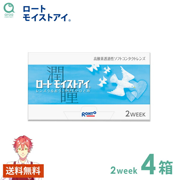モイストアイ 2ウィーク 6枚×4箱 ロート ROHTO 使い捨て 送料無料