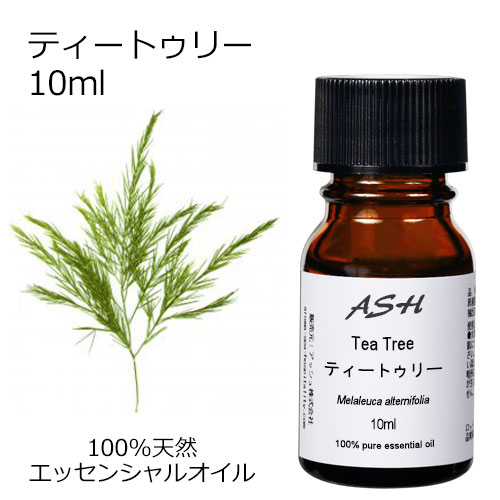 楽天市場 ティートゥリー 10ml エッセンシャルオイル アロマオイル 精油 ティートリー ティーツリー 樹木系 Aeaj表示基準適合認定精油 アッシュ Ash 楽天市場店