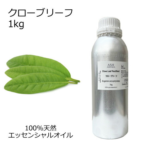 ASH AROMA 雨季の臭い特集