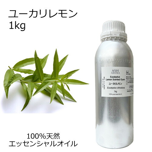 ASH AROMA 雨季の臭い特集