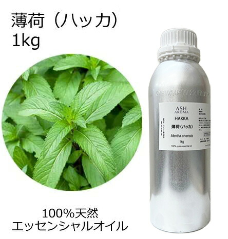 ASH AROMA 雨季の臭い特集