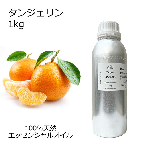 6月百貨店SALEお買い得知らせ