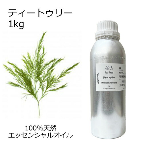 ティートゥリー 精油 1kg 業務用 アロマオイル エッセンシャルオイル 天然100% AEAJ認定 領収書対応 インボイス対応 安全データシートMSDS発行可 サンプル対応 大容量 ティートリー ティーツリー ASH AROMA|アッシュ(ASH AROMA)店